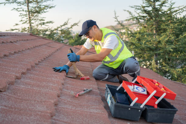 Best Metal Roofing Contractor  in Boscobel, WI